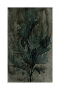 Tiefgrünes Laub von cartissi