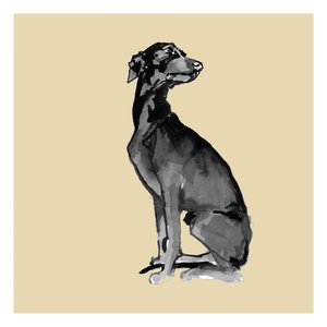 Eleganter schwarzer Hund von cartissi