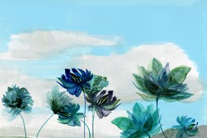 Ätherische Himmelsblüten von cartissi