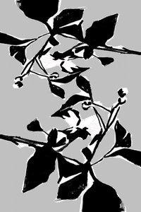 Grafisches botanisches Muster von cartissi