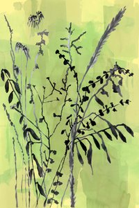 Grüne botanische Silhouetten