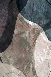 Organische geschichtete Formen von cartissi