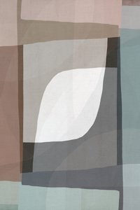 Weicher geometrischer Fluss von cartissi
