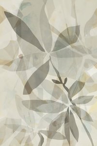 Transparente botanische Überlappung von cartissi