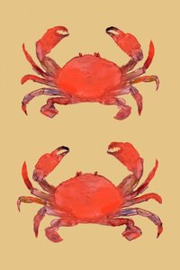 Lebendige Rote Krebse