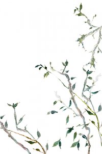 Aquarellgrüne Blätter