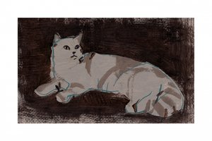 Weiße ruhende Katze von cartissi