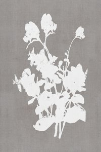 Weiße Blumensilhouette