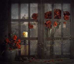 Dunkle Fensterblumen
