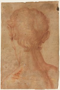 Männerkopf von hinten von copy after Agnolo Bronzino