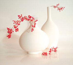 Elegante Beerenvasen