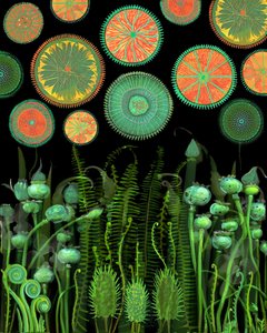 Fantasie Botanische Muster von giovanna nicolo
