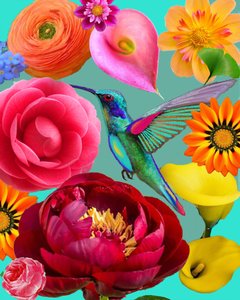 Lebendige Blumen Kolibri von giovanna nicolo