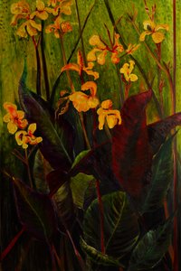 Canna-Lilie, 2017 von jocasta shakespeare