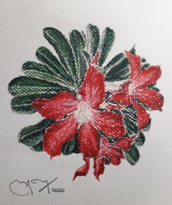 Wüstenblume von miguelmendez_art.ve