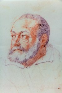 Porträt von Jacopo Barozzi da Vignola von or Zuccaro Federico Zuccari