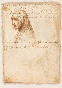 Profil einer alten Frau in Brustlänge (verso) von possibly by Dosso Dossi