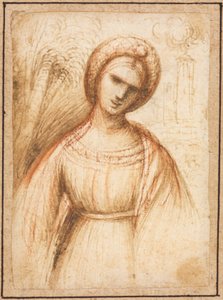 Dame in einer Landschaft (recto) von possibly by Dosso Dossi