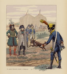 Der Hund Moustache wird Napoleon vorgestellt (Farblithografie) von pseudonym for Onfray de Breville Jacques Job
