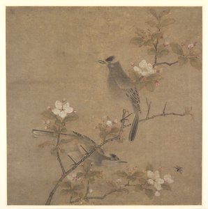 Blumen und Vögel
