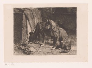 Zwei Hunde bei einer Rattenfalle von van den Eyken (attributed to)