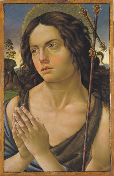 Johannes der Täufer von Capponi