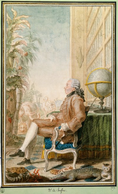 Porträt von Georges-Louis Leclerc, Graf von Buffon, Naturforscher von Carmontelle