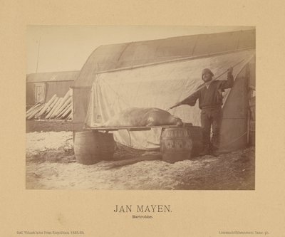 Jan Mayen, Bartrobbe von (Linienschiffs Lieutenant) Richard Basso