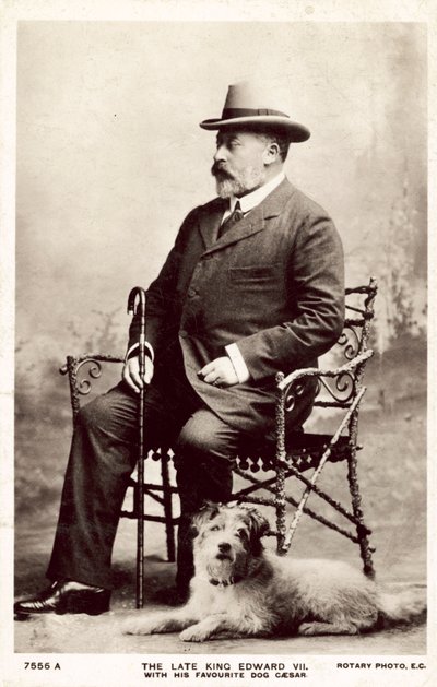 Der verstorbene König Edward VII. mit seinem Lieblingshund Caesar von (after) English photographer