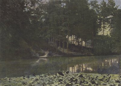 Bois de Boulogne, Das Reservoir von (after) French Photographer