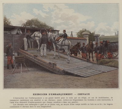 Verladeübungen, Pferde von (after) French Photographer