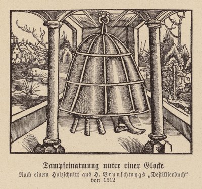 Dampfinhalation unter einer Glocke von (after) German School
