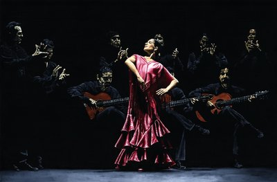 Stolze Flamenco-Tänzerin von Richard Young