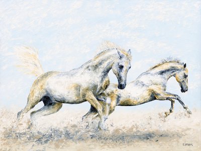 Arabische Ritter von Richard Young