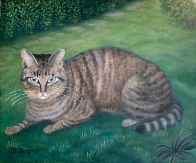 Die Katze Julia von Regine Dapra