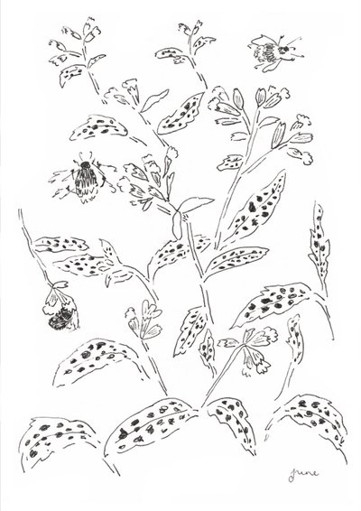 Hummel und Wildblumenstudie von june art