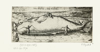Druck des gestrandeten Wals bei Antwerpen, 2. Juli 1577 von A.B. van Deinse