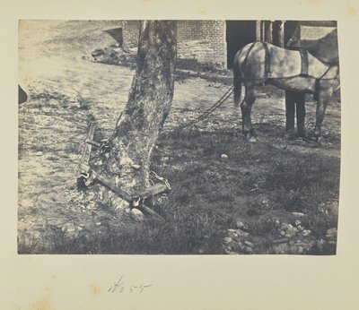 Schienen um einen Baum brechen und biegen von A.J. Russell
