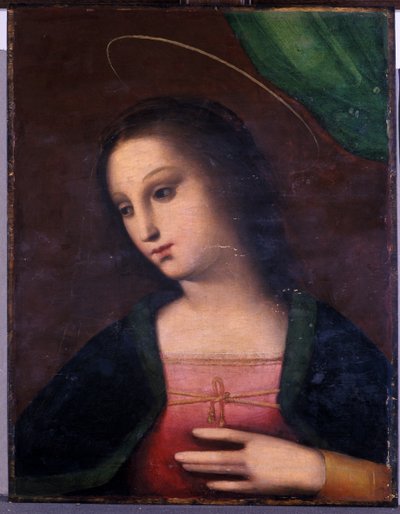 Porträt von Maria von A. 1485 c.1525 Piccinelli