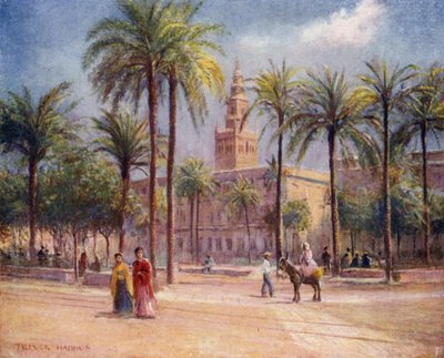 Sevilla, Plaza de San Fernando von A. Trevor Haddon