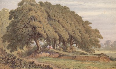Studie einer Gruppe von Eichen, in der Nähe von Eltham, Kent von Aaron Edwin Penley