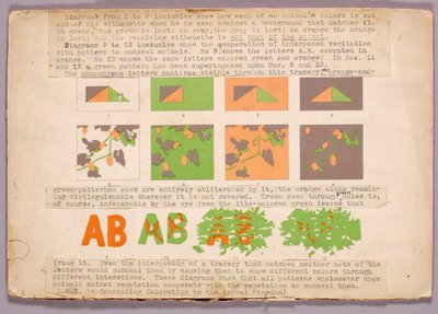 Diagramm und Kupferkopfschlange, Studienmappe für das Buch Concealing Coloration in the Animal Kingdom von Abbott Handerson Thayer