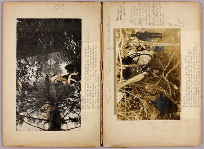 N. Amerikanische Indianer, Studienmappe für das Buch Concealing Coloration in the Animal Kingdom von Abbott Handerson Thayer