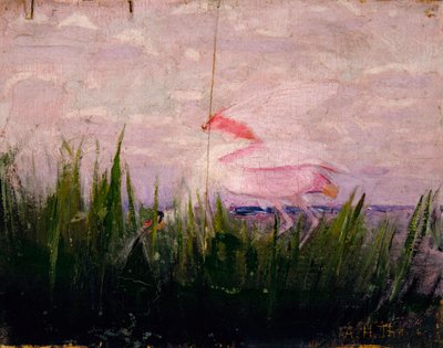 Rosalöffler, Studie für das Buch Tarnfarbe im Tierreich von Abbott Handerson Thayer