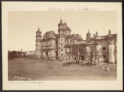 Kathedrale von Guadalupe von Abel Briquet