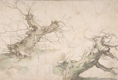 Studien von zwei Kopfweiden, Rückseite: Weite Landschaftsperspektive von Abraham Bloemaert