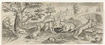Eichhörnchen und Kaninchen (Dieren) von Abraham de Bruyn (possibly)