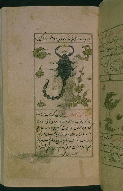 Sternbilder des Tierkreises: Skorpion, der Skorpion, aus Talim dar marifat i taqvuim, 1498 (903 Hijra) von Abu Jafar al Tabari