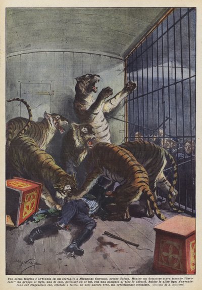 Eine tragische Szene ereignete sich in einer Menagerie in Miramont Guyenne, in der Nähe von Toulouse von Achille Beltrame