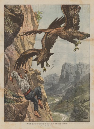 Kühne Jagd auf ein Adlernest in einer Felsspalte von Achille Beltrame